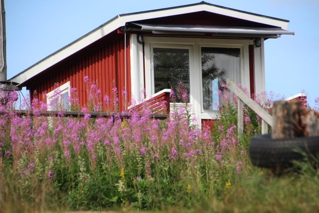 Bjoerkebo Camping Stöllet Eksteriør bilde
